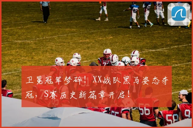 卫冕冠军梦碎！XX战队黑马姿态夺冠，S赛历史新篇章开启！